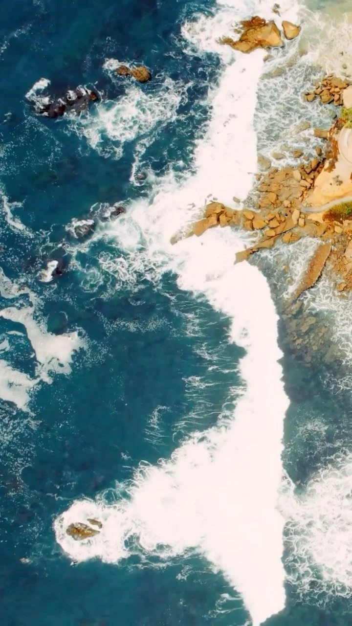 An aerial photograph of surf and kelp along a rocky coastline
