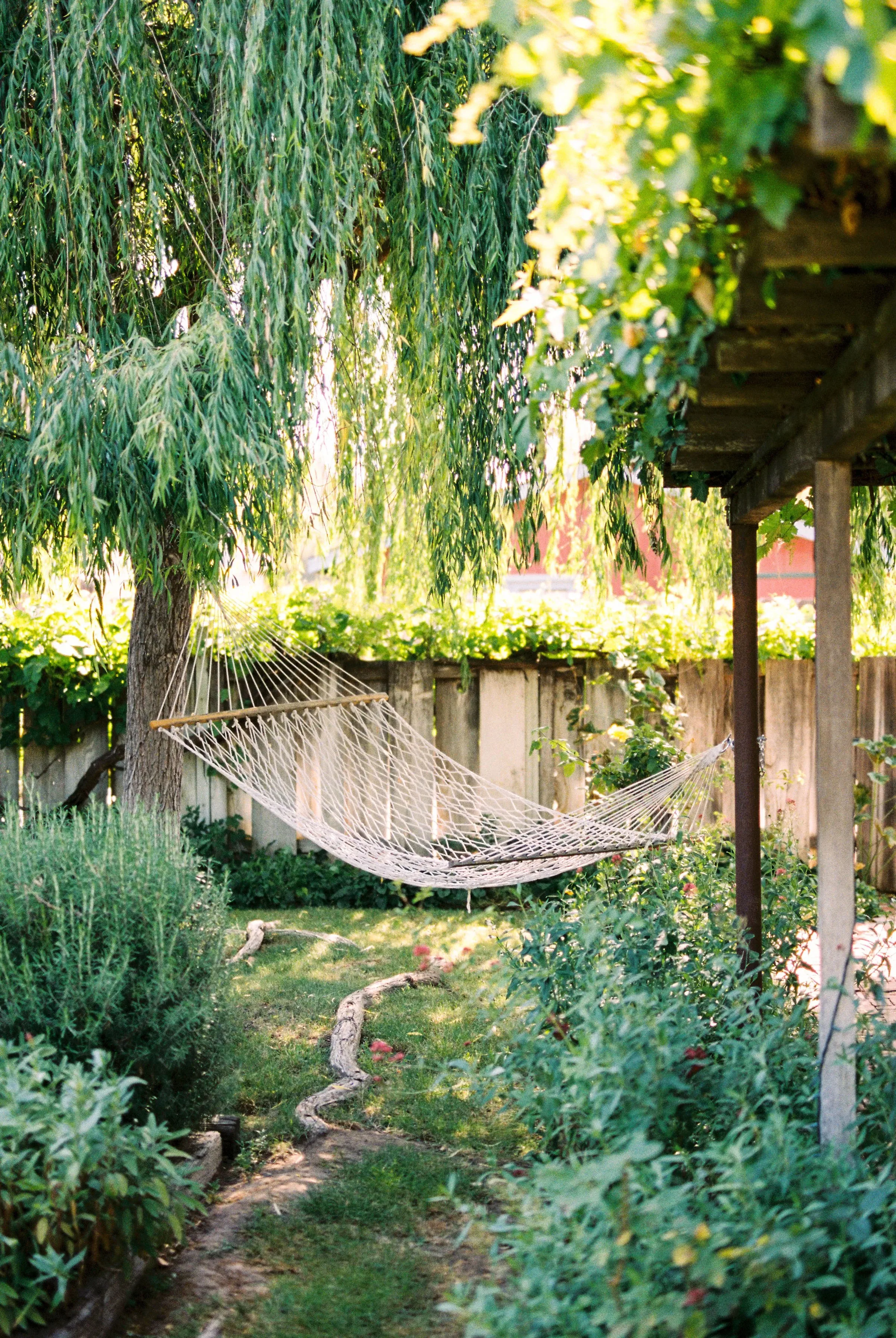 Health & Adventure Portfolio — photograph